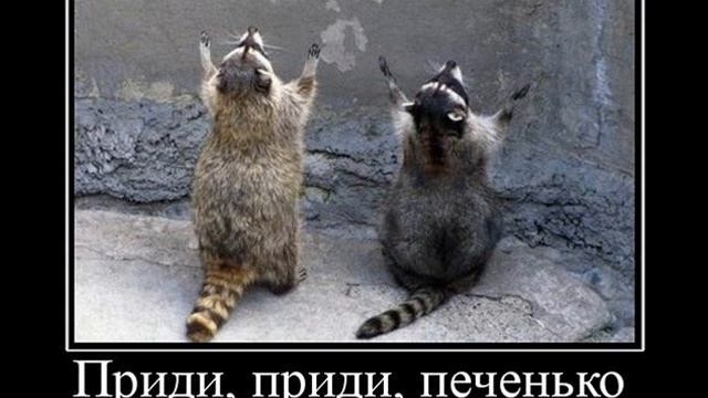 Космоэнергетика для начинающих