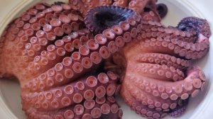 Поймал осьминога | Готовлю Морепродукты | Рыбалка без удочки в море | Сахалин