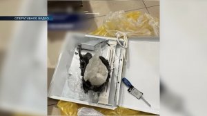 В Сургуте силовики пресекли работу межрегионального канала поставки синтетических наркотиков