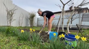 Нам ведут газ / Работа на участке / Вкусный пирог 🥧 Дела домашние