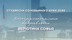 СВСК 2026 | Инструментальное направление | Верютина Софья