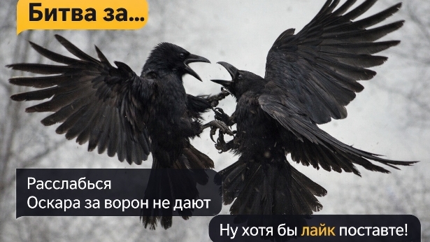 за… за главную роль в моих роликах уже дерутся.