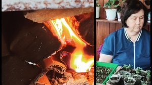 Весна, а мы на севере топим печки.)) Рассада.