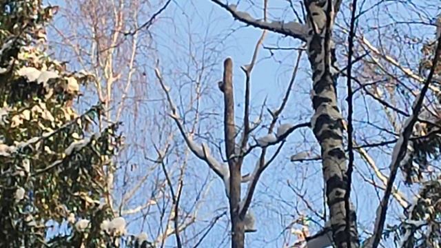 Охота на зайца 2026