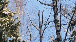 Охота на зайца 2026