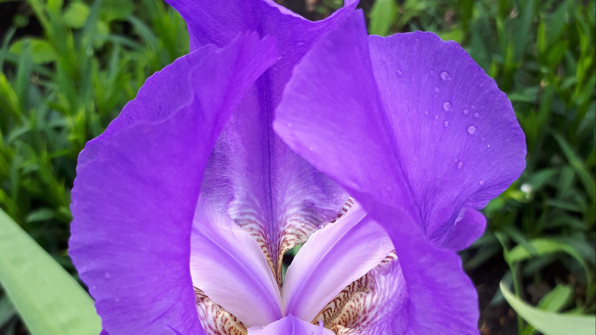 Хрустальная капель - создано на сайте ТвойХит.рф на стихи Е. Касаткиной