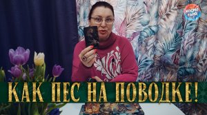 ОН НА ПОВОДКЕ! ОН НЕ ОЖИДАЛ ТАКОЙ РЕАКЦИИ НА ВАШ ИГНОР! | Гадание таро расклад