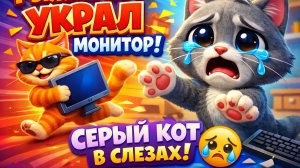 Грустная история про серого кота. Босс забрал монитор