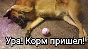 25-03-2026. Ура! Корм пришёл!