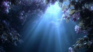 Ａ　ｐｌａｙｌｉｓｔ　ｆｏｒ　ｄａｙｄｒｅａｍ　ｂｅｌｉｅｖｅｒｓ．．