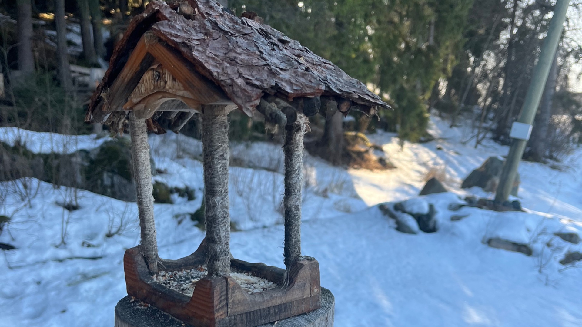 Весна на горе Паасо. Город Сортавала. Карелия