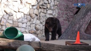 Проснись и …ешь! Весеннее пробуждение в Московском зоопарке!