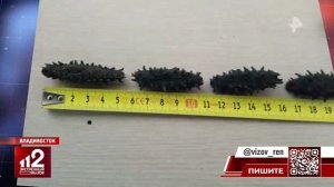 Телеканал «РЕН ТВ», программа «Экстренный вызов 112», 25.03.2026