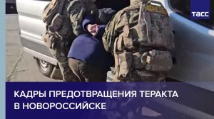 Кадры предотвращения теракта в Новороссийске