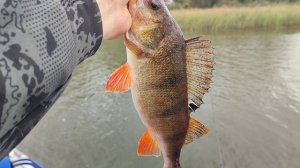 Отличная рыбалка на Каме