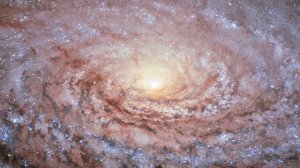 Веление 10.20 "Здесь и сейчас Я ЕСМЬ победитель!"