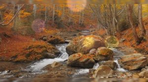 Горькая правда