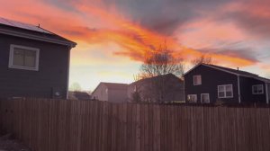 КАК ВЫЖИВАЕТ СЕМЬЯ СИБИРСКОГО ВРАЧА НА ЗАГНИВАЮЩЕМ ЗАПАДЕ.  Ухожу работать на стройку.