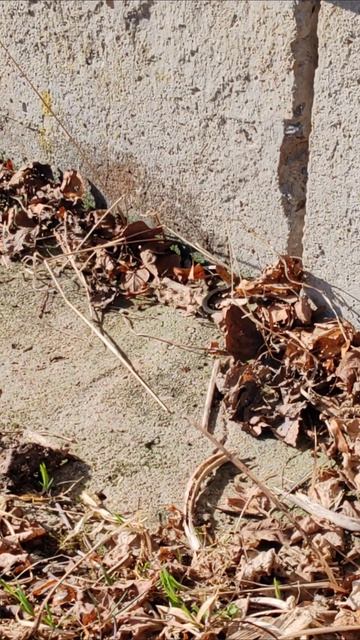 фантастические Рилсы Бельского #врекомендации #врек