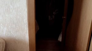 г.Ковров, Клязьменская 10