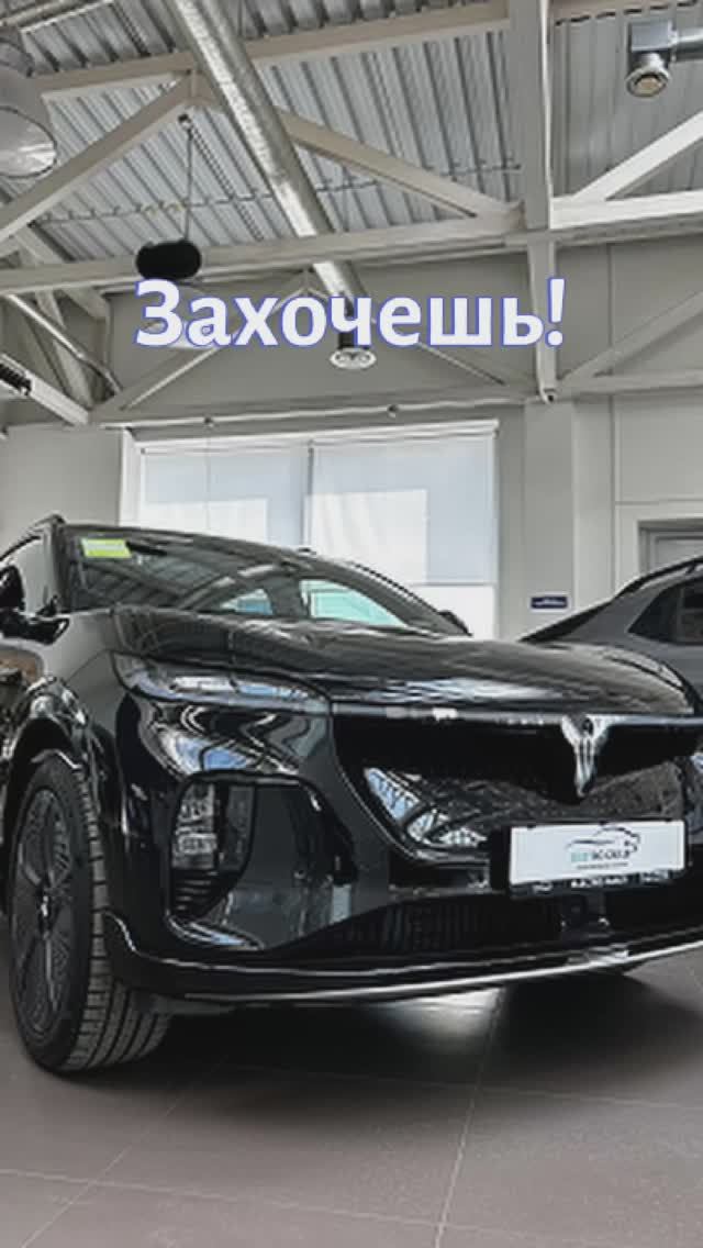 2 программа для Voyah Courage!