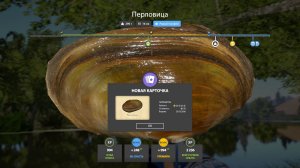 РАЗДАЧА ГОЛД НАЖИВКИ И ТАРАНИ НА ДОНЦЕ, ФАРМ НА МОРЕ ЯМЕ И МЕДНОЕ ОБЗОР ВОДОЕМОВ В РУССКОЙ РЫБАЛКЕ 4