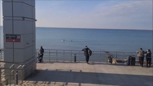 Новогодние каникулы в Сочи  Часть ll