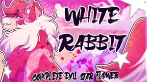 Коты воители //🌿 WHITE RABBIT🌿//