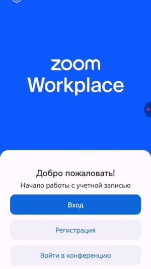 Как поменять имя в профиле Zoom на мобильном