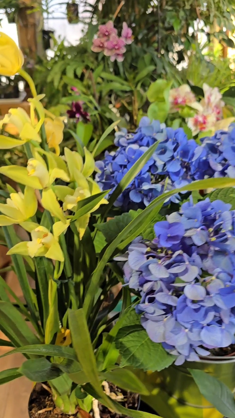 Весна — время пересадок и посадок растений! Расчехляем запасы АМИНОСИЛА!