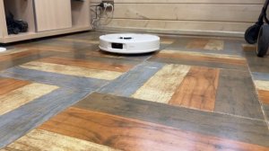 ВСТРЕЧА РЫСИ УМКИ И СИМБЫ / Пумыч проявляет любовь к Маше / Обзор робота-пылесоса Roborock Qrevo C