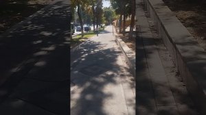 прогулка по Ташу .