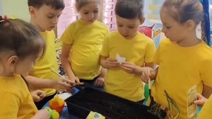 Мини-проект Лучший огород на окошке