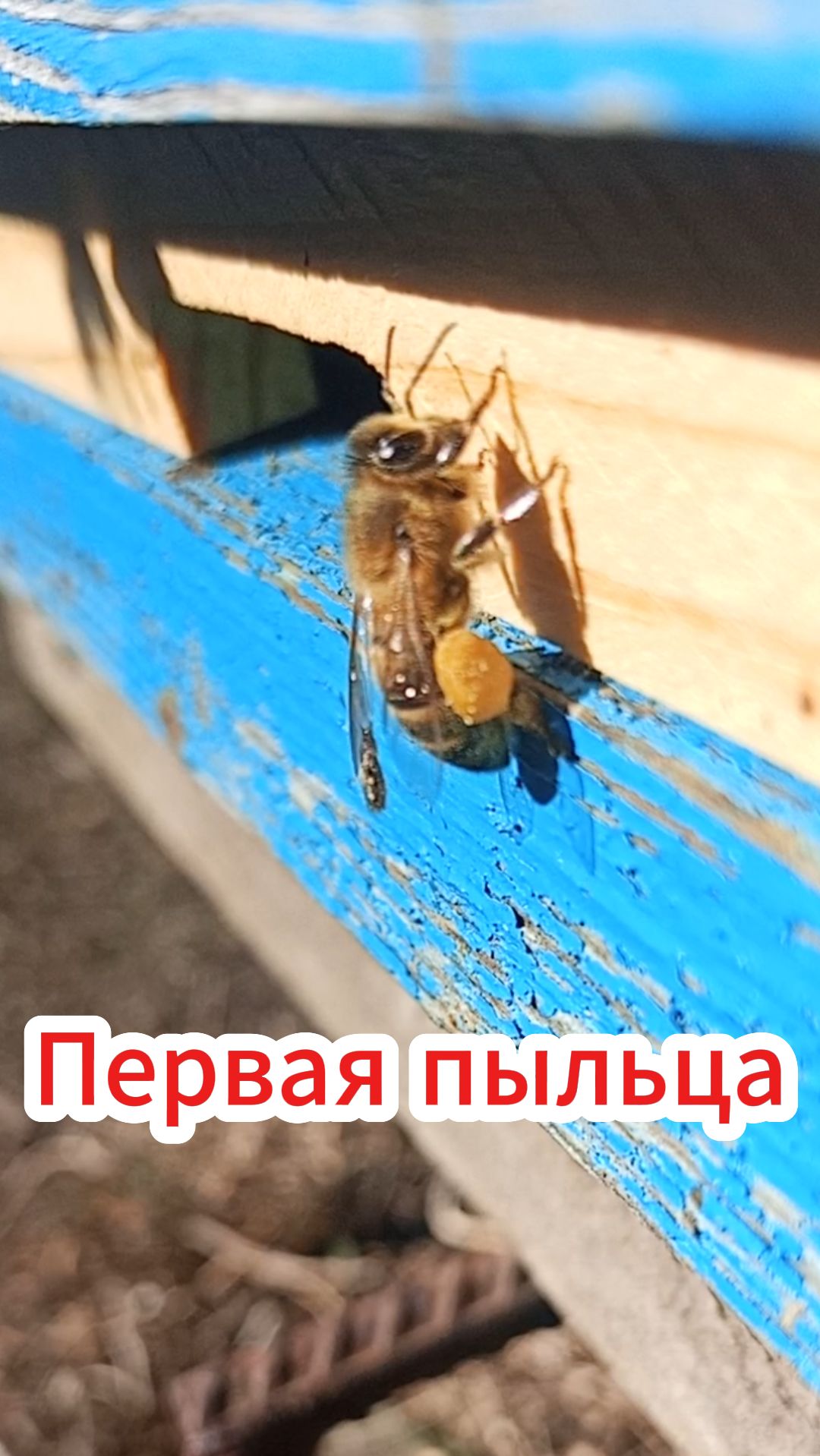 Активный сезон стартовал.