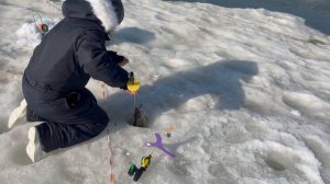 Крупная форель сегодня дает жару