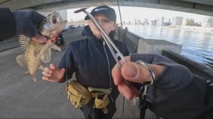 Рыбалка на Москва реке. #спиннинг