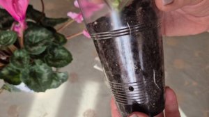 НЕ МЫ ТАКИЕ...ЖИЗНЬ ТАКАЯ...ЗАКАЗ ОТ МОИХ ДЕВОЧЕК