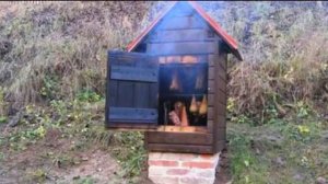 Дачные премудрости ! (10)