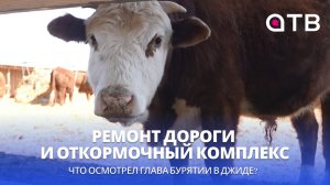 Ремонт дороги и откормочный комплекс. Что осмотрел глава Бурятии в Джиде?