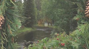 Здесь живут,россияне!