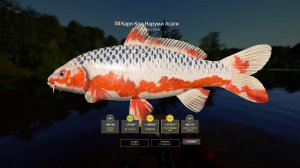 МЕДНОЕ ЗА НОВЫМИ КАРТОЧКАМИ И ДРУГИЕ ВОДОЕМЫ С КРАСИВОЙ РЫБОЙ В РУССКОЙ РЫБАЛКЕ 4 СТРИМ