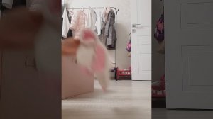 новые вещи нам мешают