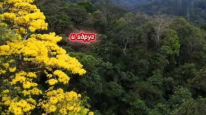 Как иногда необходимо знать.Автор слов: Людмила Никора.