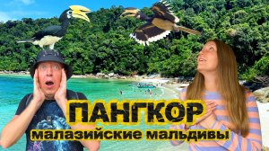 Остров Пангкор: Скрытая жемчужина Малайзии. Пляжи, храмы и ручные птицы-носороги | DREAM WAY