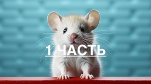 1 ЧАСТЬ | История мышонка