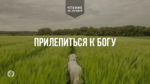 ПРИЛЕПИТЬСЯ К БОГУ  | АУДИО |	11	  апреля 2026