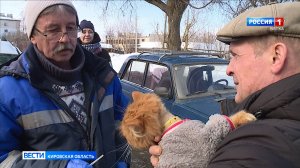 В Кировской области началась выездная кампания по вакцинации животных против бешенства