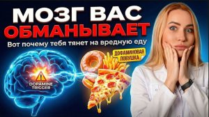 Почему нас предаёт мозг: непреодолимая тяга к сладкому и фастфуду