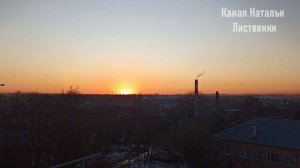 Город 16-24 марта 2026. Всходы мускари и гиацинтов, цветение галантусов и морозников