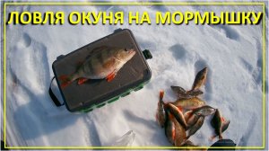Ловля окуня на мормышку